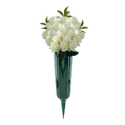 White Roses 24 Stems