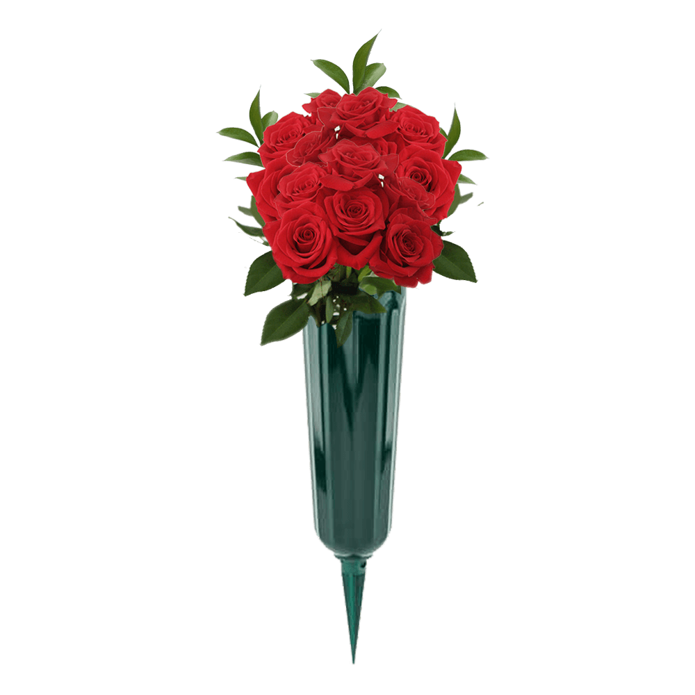 Red Roses 12 Stems Roses