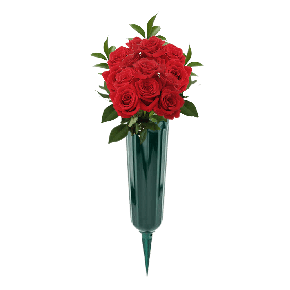 Red Roses 12 Stems